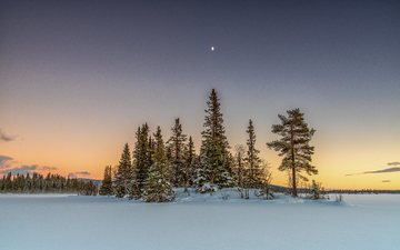 деревья, снег, природа, закат, зима, пейзаж, норвегия, замерзшее озеро, хемседал, луна над маленьким островом