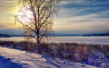 снег, дерево, закат, зима, пейзаж, швеция, река ангерман, крамфорс