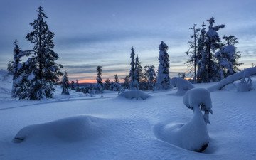 снег, закат, зима, пейзаж, ели, сугробы, заснеженные деревья