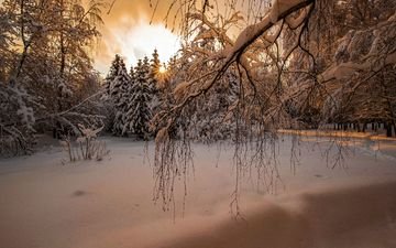 снег, природа, лес, закат, зима, пейзаж, поляна, зарево, заснеженные деревья