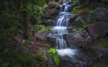 природа, камни, пейзаж, водопад, каскад, blue mountains botanical garden