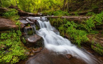 деревья, природа, камни, лес, пейзаж, водопад, каскад