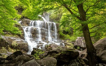 деревья, скалы, природа, камни, лес, пейзаж, водопад