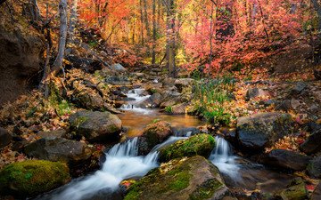 природа, камни, пейзаж, ручей, водопад, осень, речка, осенние листья