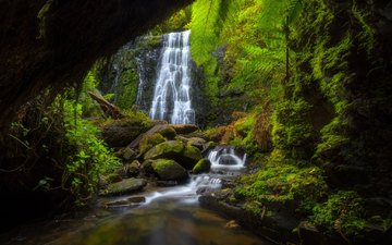 природа, зелёный, пейзаж, водопад, otway ranges near tanybryn, monomeith falls