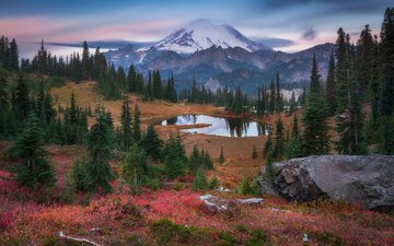 деревья, озеро, горы, закат, пейзаж, маунт-рейнир, tipsoo lake