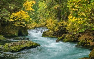 деревья, река, скалы, природа, лес, пейзаж, осень, орегон, краски осени, willamette national forest, cascade mountains