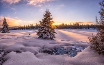 деревья, снег, природа, закат, зима, пейзаж, ручей, речка, проталина