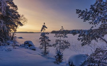 деревья, снег, закат, зима, пейзаж, финляндия, замерзшее озеро