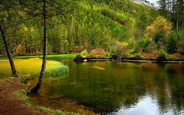 деревья, вода, природа, лес, пейзаж, осень, австрия, штирия, пейзаж озера кройцтайх