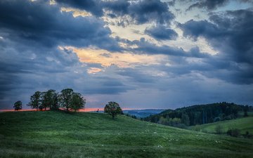 небо, трава, облака, деревья, холмы, закат, пейзаж, поле