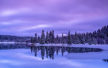 деревья, озеро, природа, лес, зима, пейзаж, лёд, остров, норвегия, hemsedal