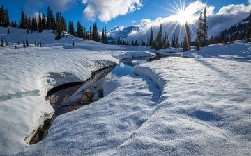 деревья, солнце, снег, зима, пейзаж, водоем, проталина, alpine spring