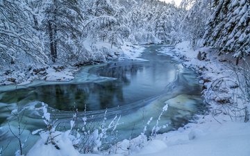 деревья, река, снег, природа, лес, зима, пейзаж