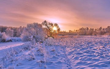 деревья, снег, закат, зима, пейзаж, следы, замерзшее озеро