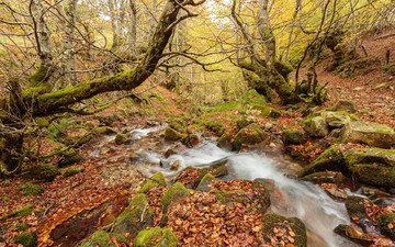 природа, камни, пейзаж, ручей, водопад, осень, речка, осенние листья