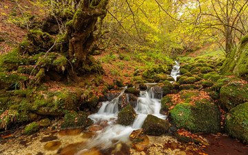 природа, камни, пейзаж, ручей, водопад, осень, речка, осенние листья