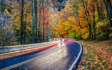 дорога, деревья, лес, пейзаж, осень, осенние краски, great smoky mountain national park