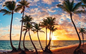 вода, солнце, природа, дерево, пейзаж, море, песок, пляж, лето, облако, побережье, океан, пальма, релакс, остров, курорт, лагуна, экзотика, тропики, тропический, кокос, туризм, солнечный, карибское море, рай, морской пейзаж, природный, на открытом воздухе, живописный, кана, пунта, республика доминиканская