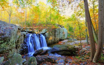 деревья, скалы, природа, камни, лес, пейзаж, водопад, осень, водоем, осенние листья