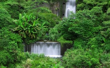 деревья, зелёный, пейзаж, водопад, тайбэй, тайвань, растительность