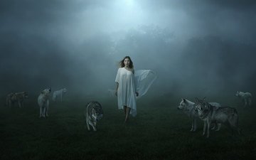 ночь, девушка, туман, фантазия, фотошоп, волки, лунный свет