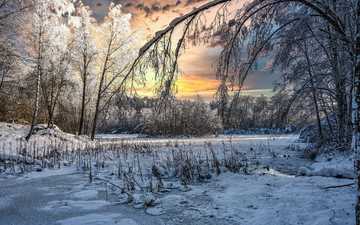 деревья, озеро, снег, природа, лес, закат, зима, пейзаж, лёд, водоем, пруд, la