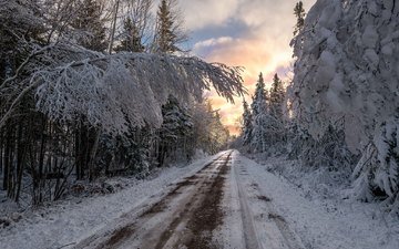 дорога, снег, лес, закат, зима, пейзаж, заснеженные деревья