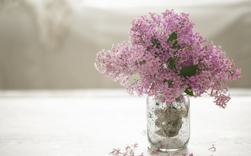 цветы • стол • букет • весна • банка • ваза • светлый фон • сирень • боке
